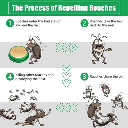 🚨 FINAL 3 HOURS: BUY 1 GET 1 FREE – Viral Cockroach Killer Gel Stock CRASHING! 🔥 12pc in 1 Packet