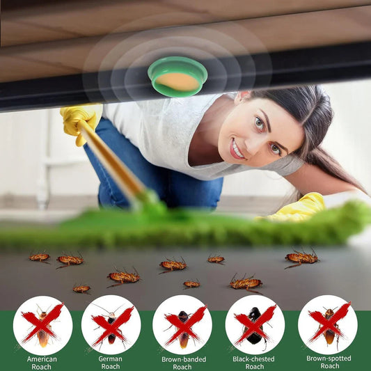 🚨 FINAL 3 HOURS: BUY 1 GET 1 FREE – Viral Cockroach Killer Gel Stock CRASHING! 🔥 12pc in 1 Packet